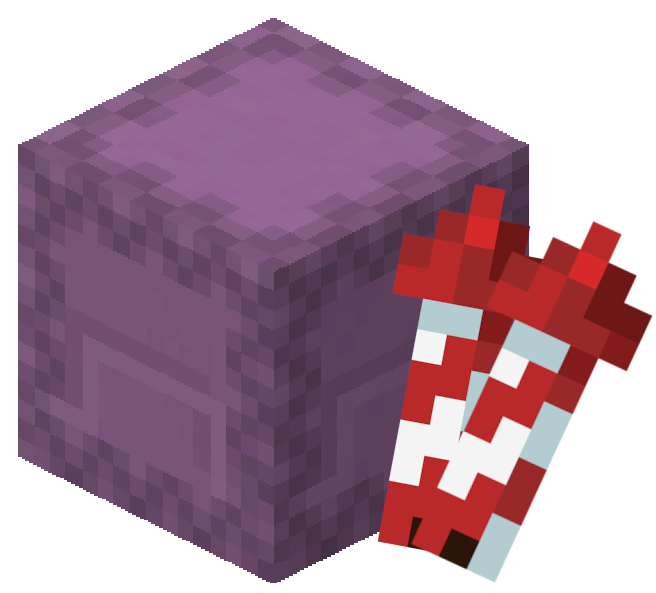 Bundle